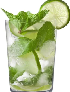 2 Mojito-Becher 118/91 GR Secco Flavoured