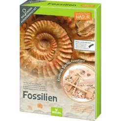 AusgrabungsSet Fossilien