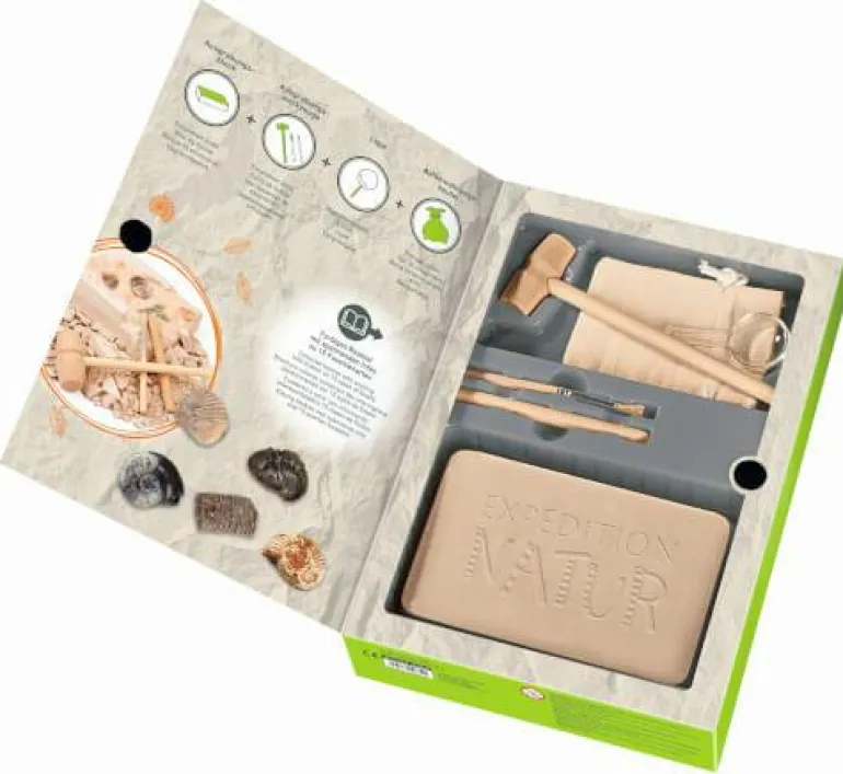 AusgrabungsSet Fossilien