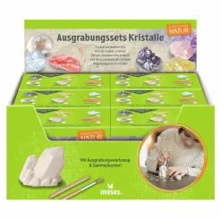 Ausgrabungsset Kristalle sortiert - Expedition Nat
