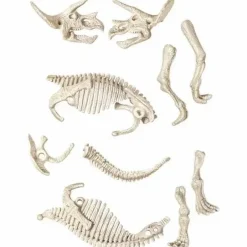 Ausgrabungsset: Triceratops