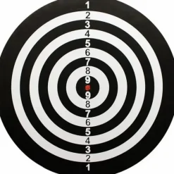 BULL'S® Windsor Paper Dartboard