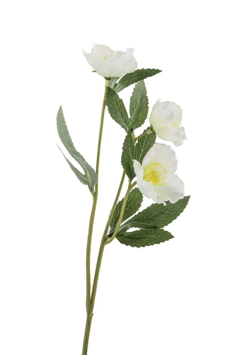 Christrose/weiß/ H35,5cm