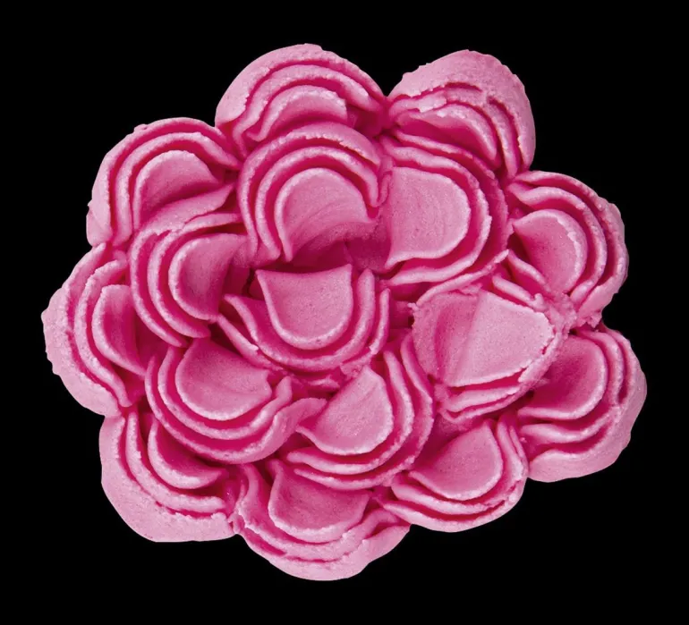 Chrysanthementülle