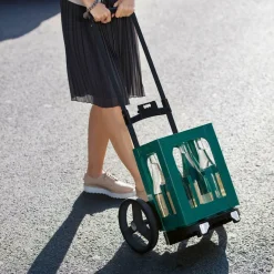 Citycruiser rack black Tasche auf Rollen