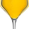 Craft Beer Kelch 203/1
