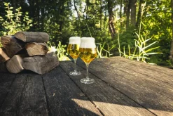 Craft Beer Kelch 203/1