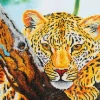 DIAMOND DOTZ® Leopard