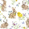 EASTER FRIENDS White Cocktail-Servietten C1066390