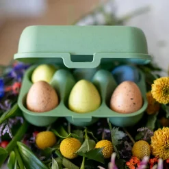 Eierbox To Go mini leaf green