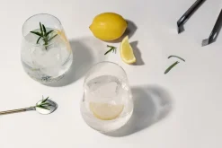 4er Gin Tonic Bar Special 79
