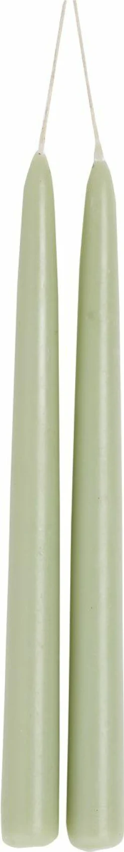2er SPITZKERZE Sage 24 Cm Lang 1 Paar Spitzkerze