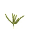 Eukalyptus/Kaktee grün H26