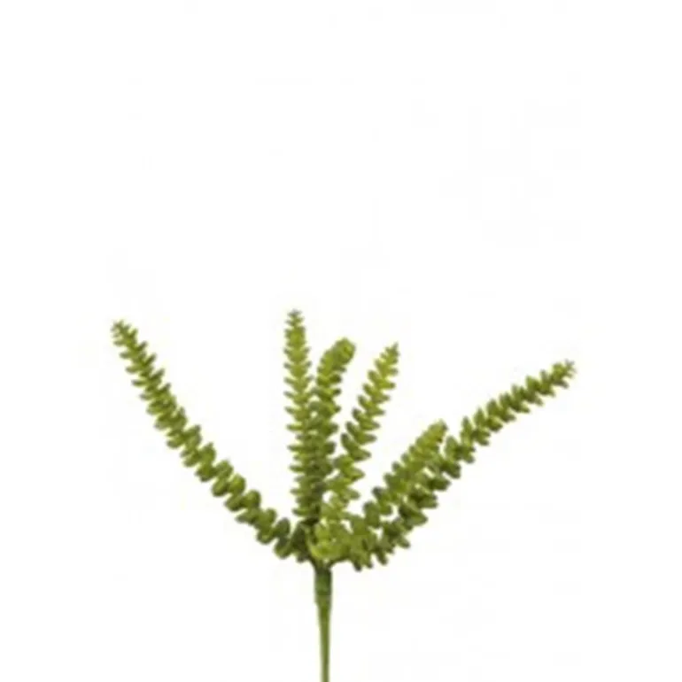 Eukalyptus/Kaktee grün H26