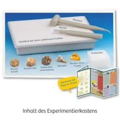 Fossilien - Ausgrabungs-Set