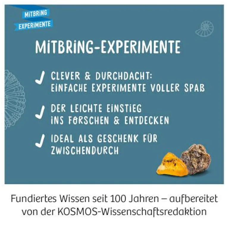 Fossilien - Ausgrabungs-Set