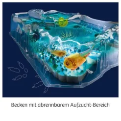 Fun Science - Triops züchten