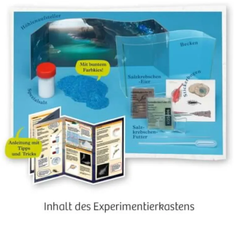 Fun Science - Wuselnde Salzkrebse