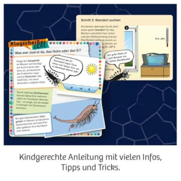 Fun Science - Wuselnde Salzkrebse