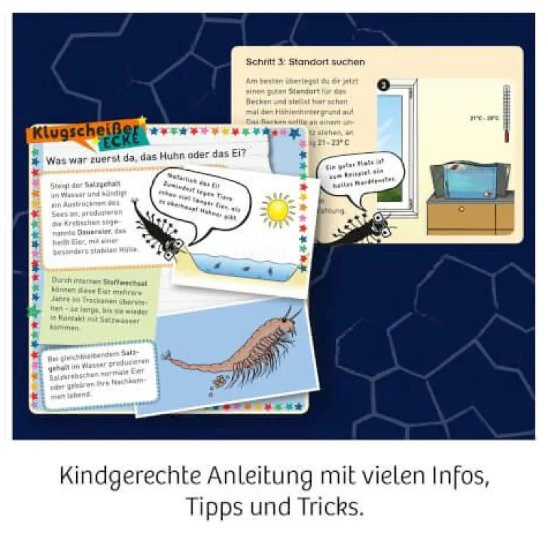 Fun Science - Wuselnde Salzkrebse