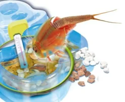 Galileo: Original Triops Nachfüllset
