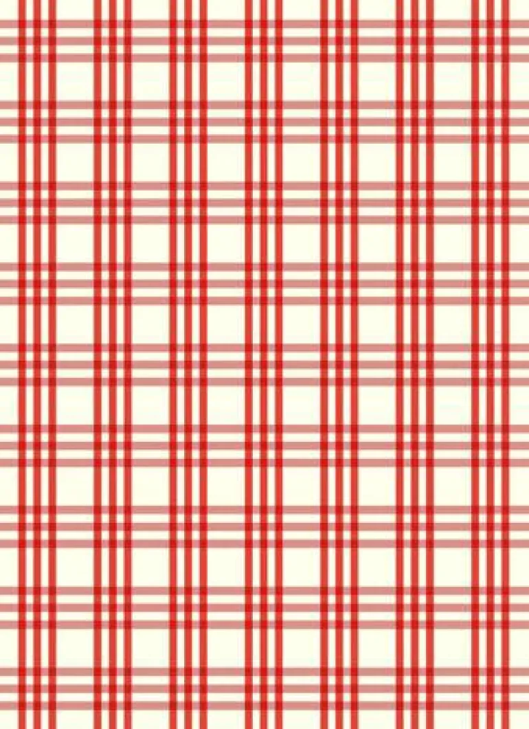 Geschirrtuch "Karo gross" rot 50x70cm 50% Leinen/5