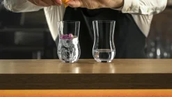 Gin Tasting 519/61 2 Stück Angebot