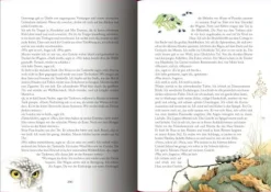 Gr. Schmuckausgabe (Bastin): D. du Maurier, Rebecc