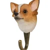 Haken Chihuahua