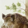 HUNTED WILD BOAR Cream Streichholzschachtel MBL101
