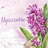 HYAZINTHE IN PINK pink Lunch-Servietten L 985255