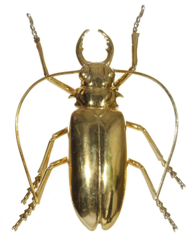 Insekt gold 15cm