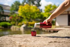 Isolierlasche Cranberry red pol 0,35L
