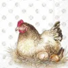 JENNY HEN Light Brown Lunch-Servietten L1031039