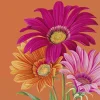 JOYFUL GERBERA Orange Lunch-Servietten L1038317