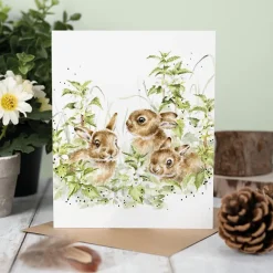 Karte Spring Hares