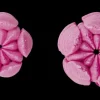 Krokus Tülle Edelstahl
