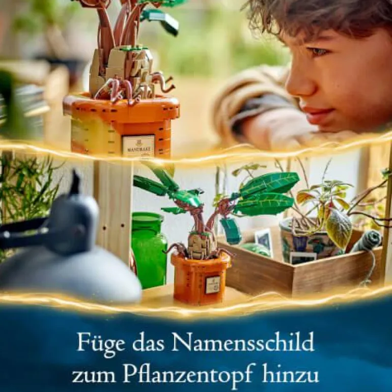 LEGO® Harry Potter™ Zaubertrankpflanze: Alraune 76