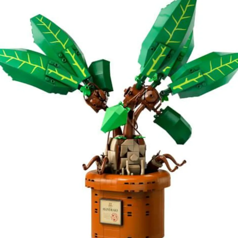 LEGO® Harry Potter™ Zaubertrankpflanze: Alraune 76