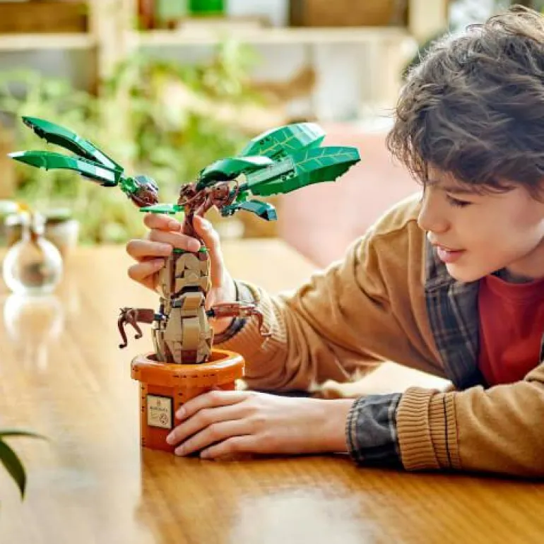 LEGO® Harry Potter™ Zaubertrankpflanze: Alraune 76
