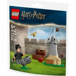 LEGO® Harry Potter™ Quidditch™ Training 30706