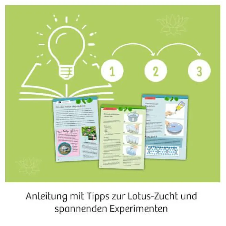 Lotusblume - Züchte Wasserpflanzen und erforsche d