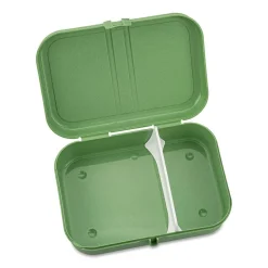 Lunchbox Pascal L green