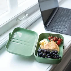 Lunchbox Pascal L green