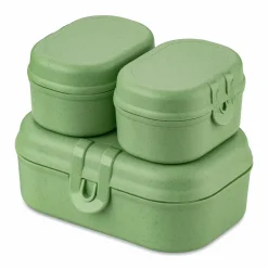 Lunchbox Pascal Ready mini green