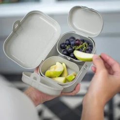 Lunchbox Pascal Ready mini sand