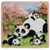 MAMA BEAR Gesichtstuch 25x25 apricot