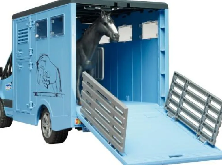 MB Sprinter Tiertransporter mit 1 Pferd