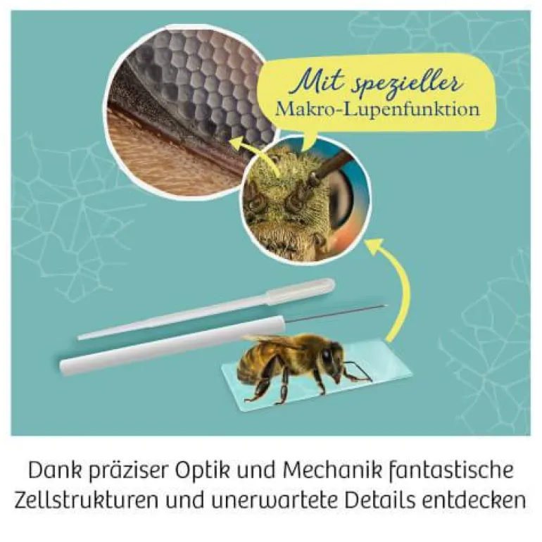 Mikroskop - Schülermikroskop mit exakter Mechanik