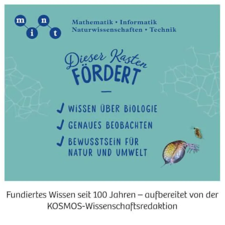 Mikroskop - Schülermikroskop mit exakter Mechanik